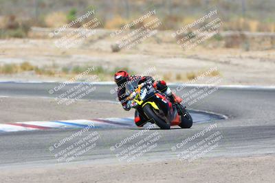 media/Aug-06-2023-TrackDaz (Sun) [[ac7f4f6367]]/A Group/cotton corners/